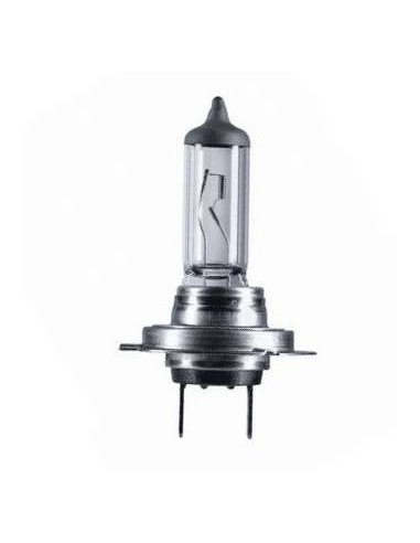 Ampoule H7 Philips EcoVision 