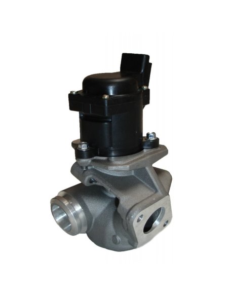 Vanne EGR Citroën Peugeot Ford Mazda Volvo Mini 1.6 Hdi Tdci D