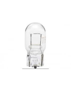 Ampoule W21W 12v 
