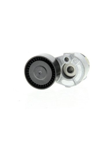 Galet tendeur courroie Accessoire Clim Renault Clio Megane Scenic 2 Kangoo Modus Logan Sandero 1.5 Dci