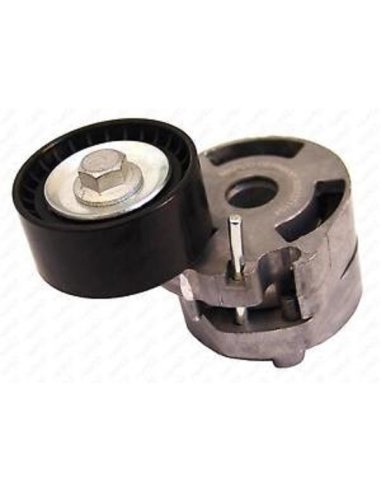 Galet tendeur de courroie Berlingo C3 C5 Xsara Picasso Ford Fiesta Fusion Mazda 2 Partner 206 407 HDI