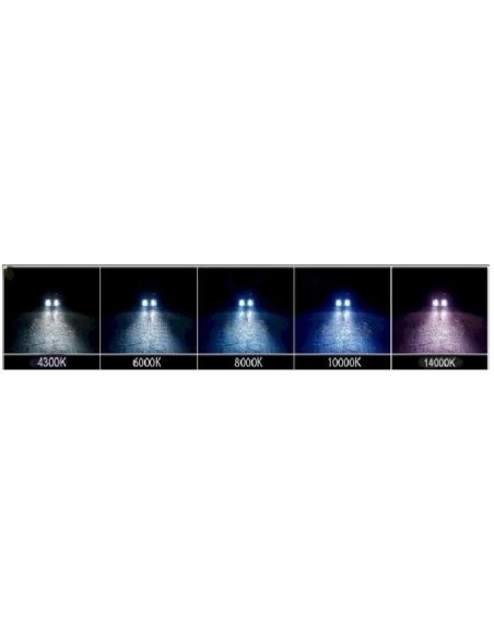 Kit Xenon 55w Ampoule H3