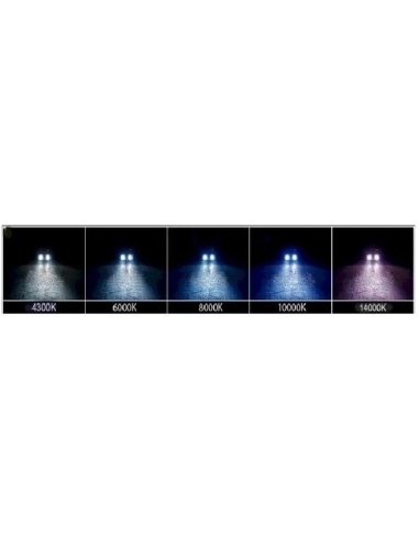 Kit Xenon 55w Ampoule H13