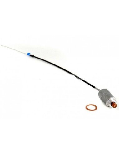Sonde de ralenti acceleré Diesel Peugeot Renault Opel Fiat