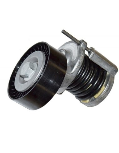 Galet Tendeur Audi A3 A4 A6 Altea Ibiza Leon Fabia Octavia Roomster Golf 5 Passat Polo TDi
