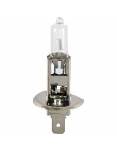 Ampoule H1 Blanc 12v 55w