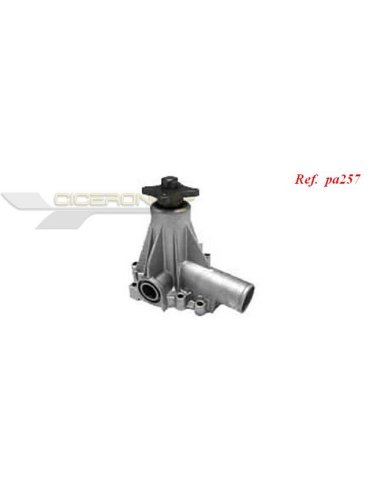 Pompe à eau Saleri WP230